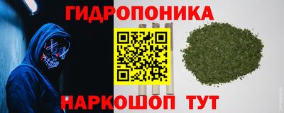 молекула духа Гусь-Хрустальный
