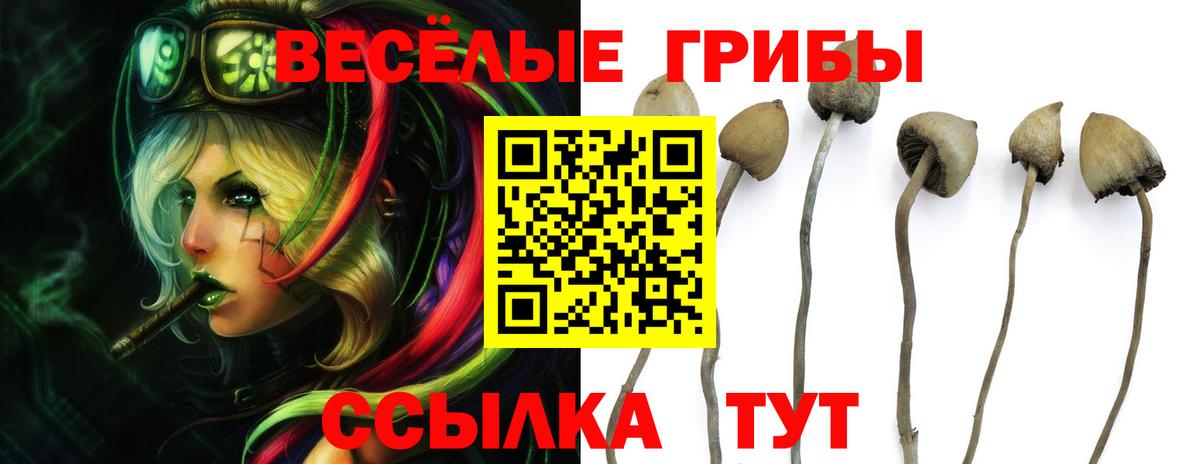 Псилоцибиновые грибы ЛСД Канск